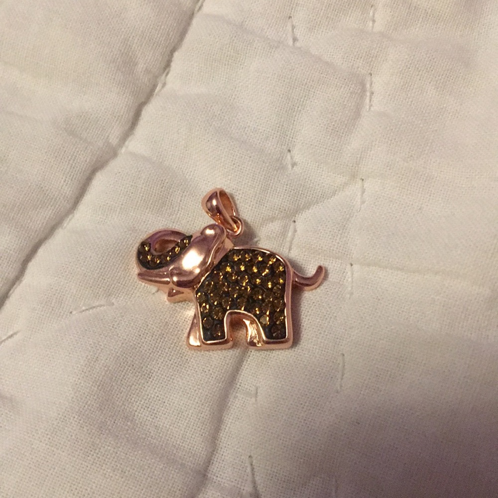 Elephant charm